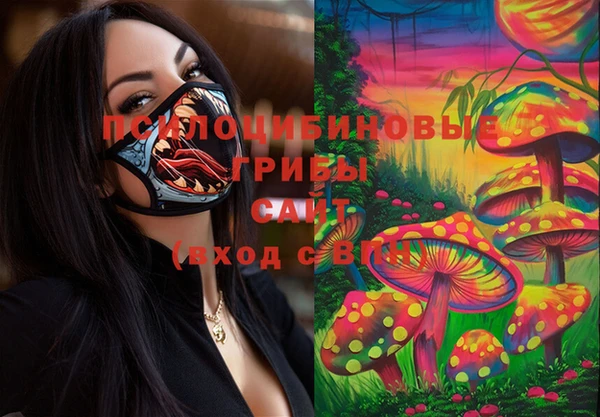 марки lsd Аркадак