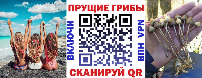 Купить закладки  Алушта  Галлюциногенные грибы GOLDEN TEACHER 